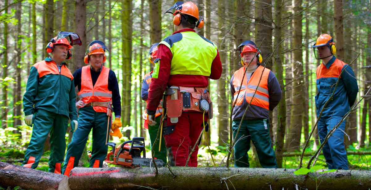 CPI Roma - Pubblicazione Graduatoria Definitiva - n. 1 Muratore, a tempo indeterminato pieno, presso Raggruppamento Carabinieri Biodiversità di Roma
