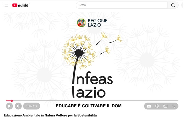 Infeas 2026