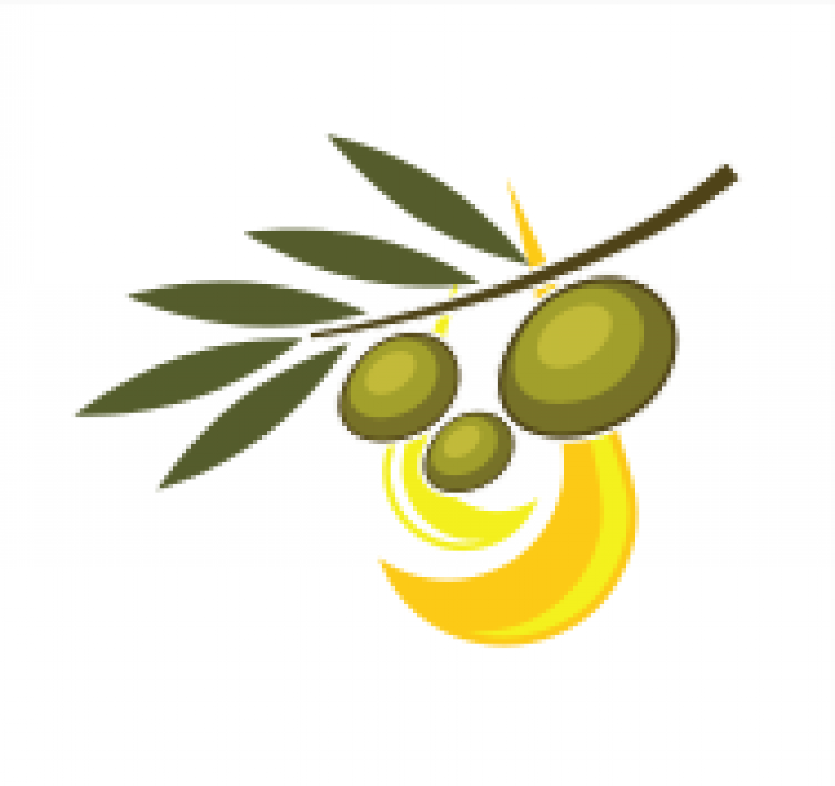 Progetto LAZIO TERRE DELL’OLIO