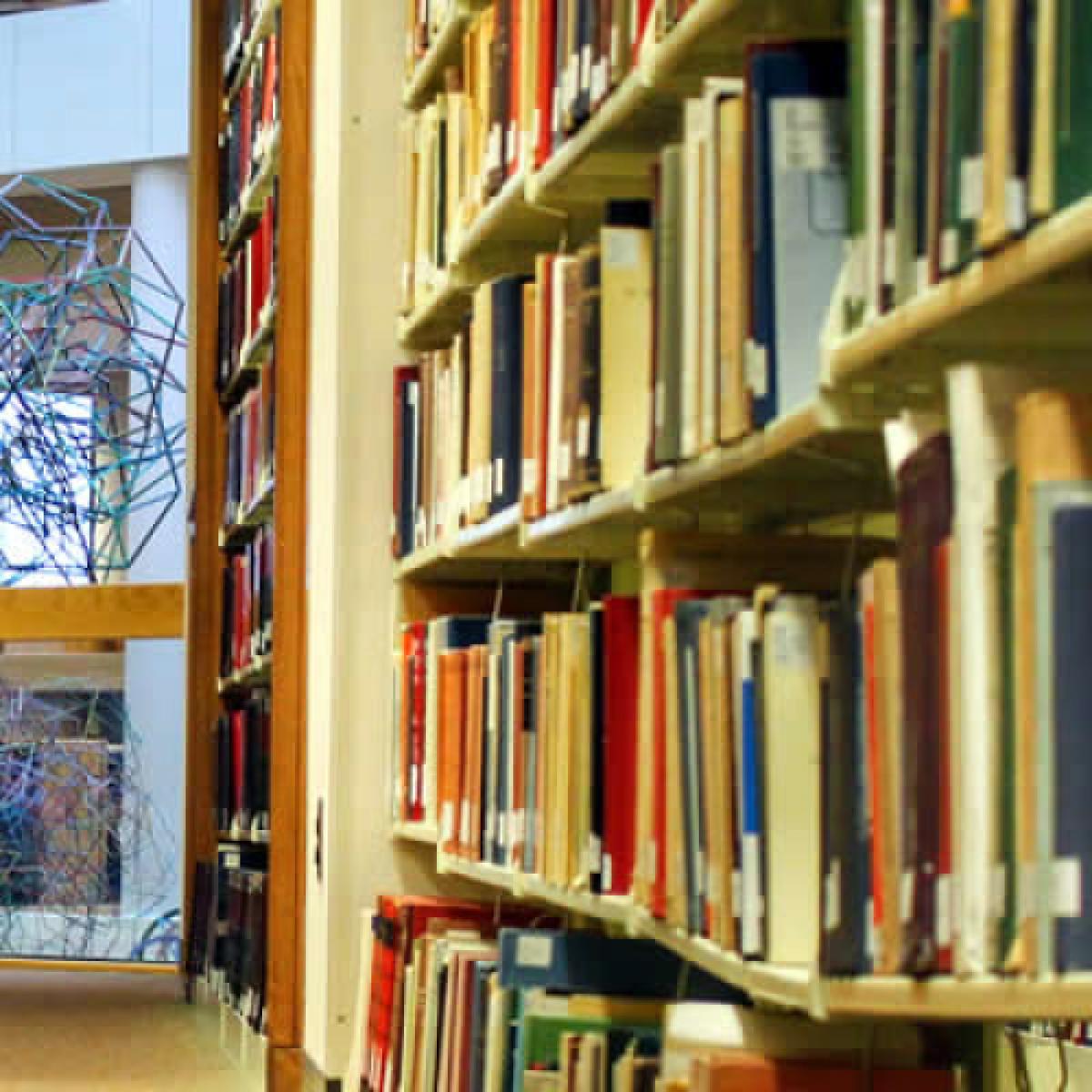 Polo bibliotecario
