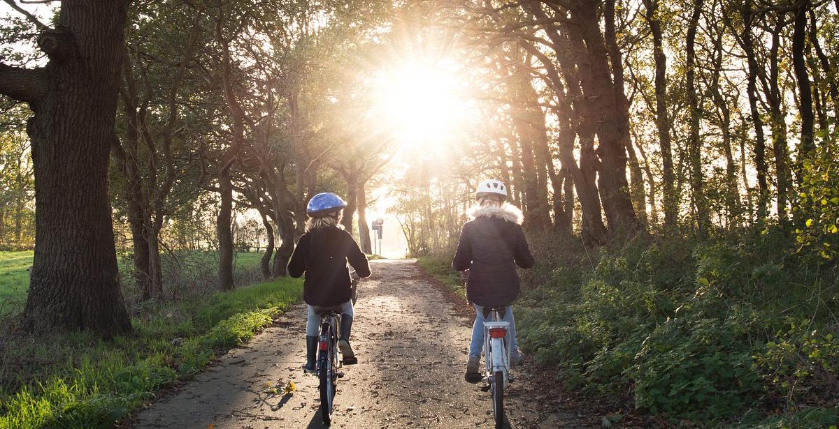 In bici nel bosco - Fonte: pixabay Credit: Skitterphoto