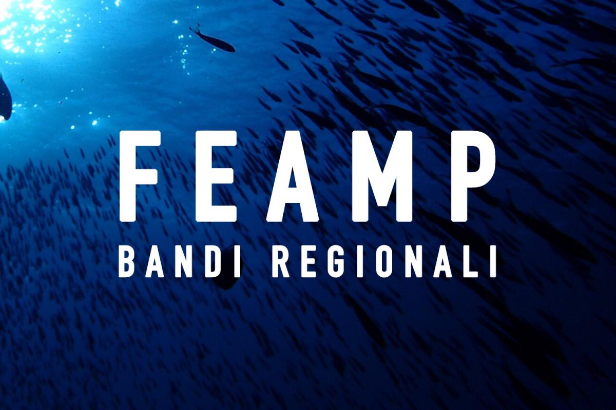 Bando Feamp