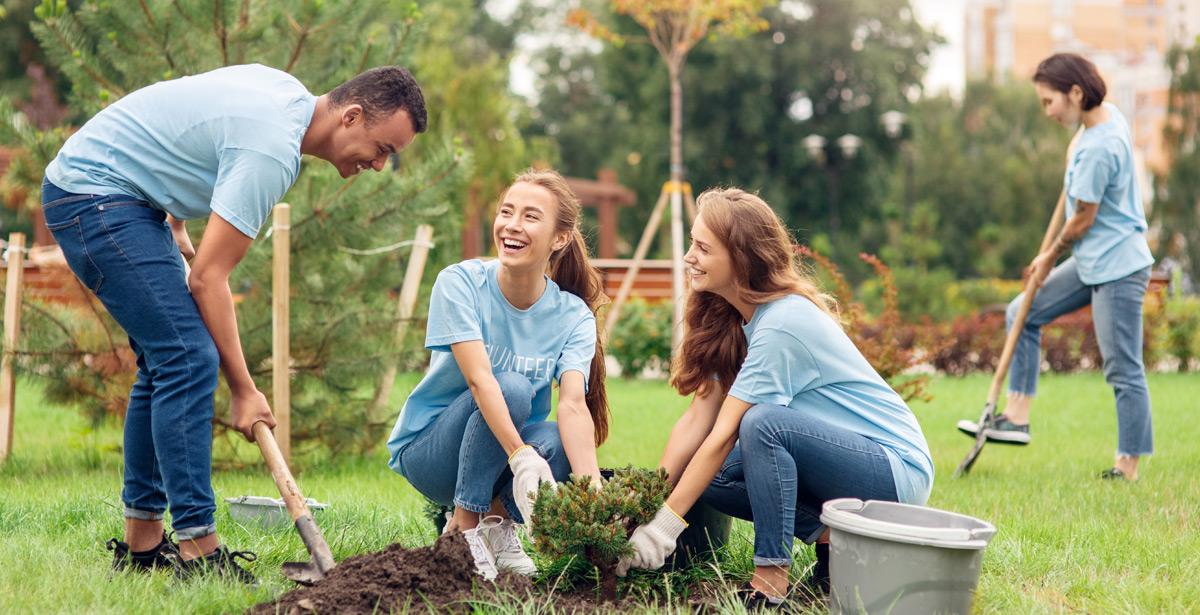 Ragazzi piantano alberi in allegria - Foto di Viktoriia da Adobe Stock