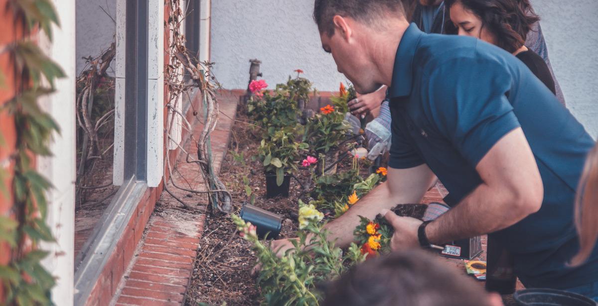 Persone sistemano aiuola - Photo by NeONBRAND on Unsplash