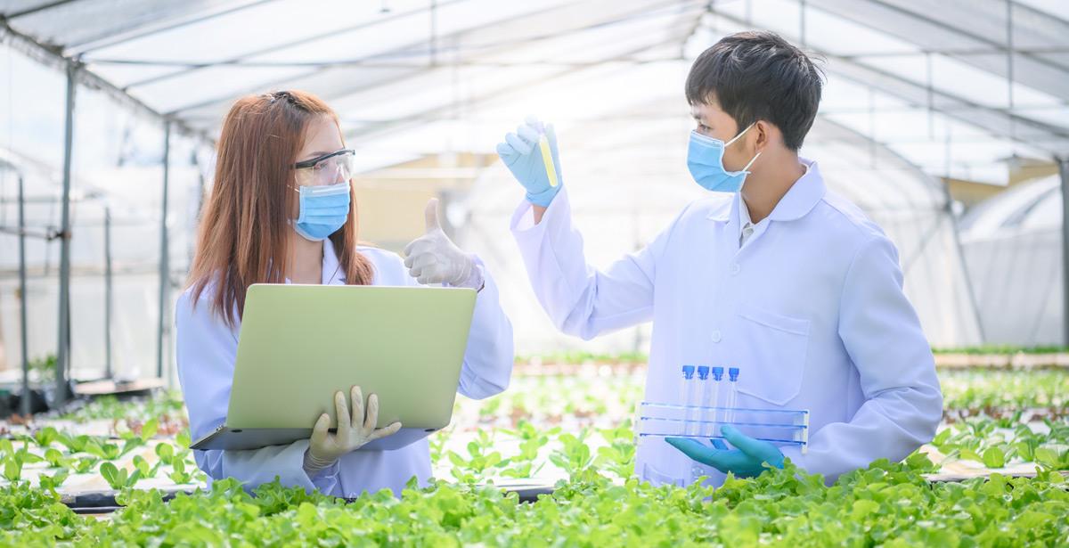 Due tecnici in serra analizzano i dati di alcune verdure - Foto di 2B da Adobe Stock