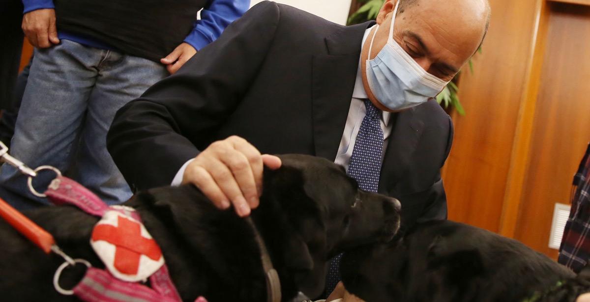 Il Presidente Nicola Zingaretti con dei cani guida
