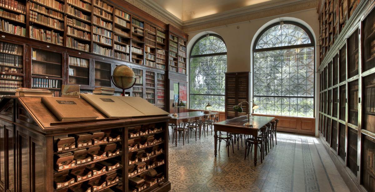 biblioteca