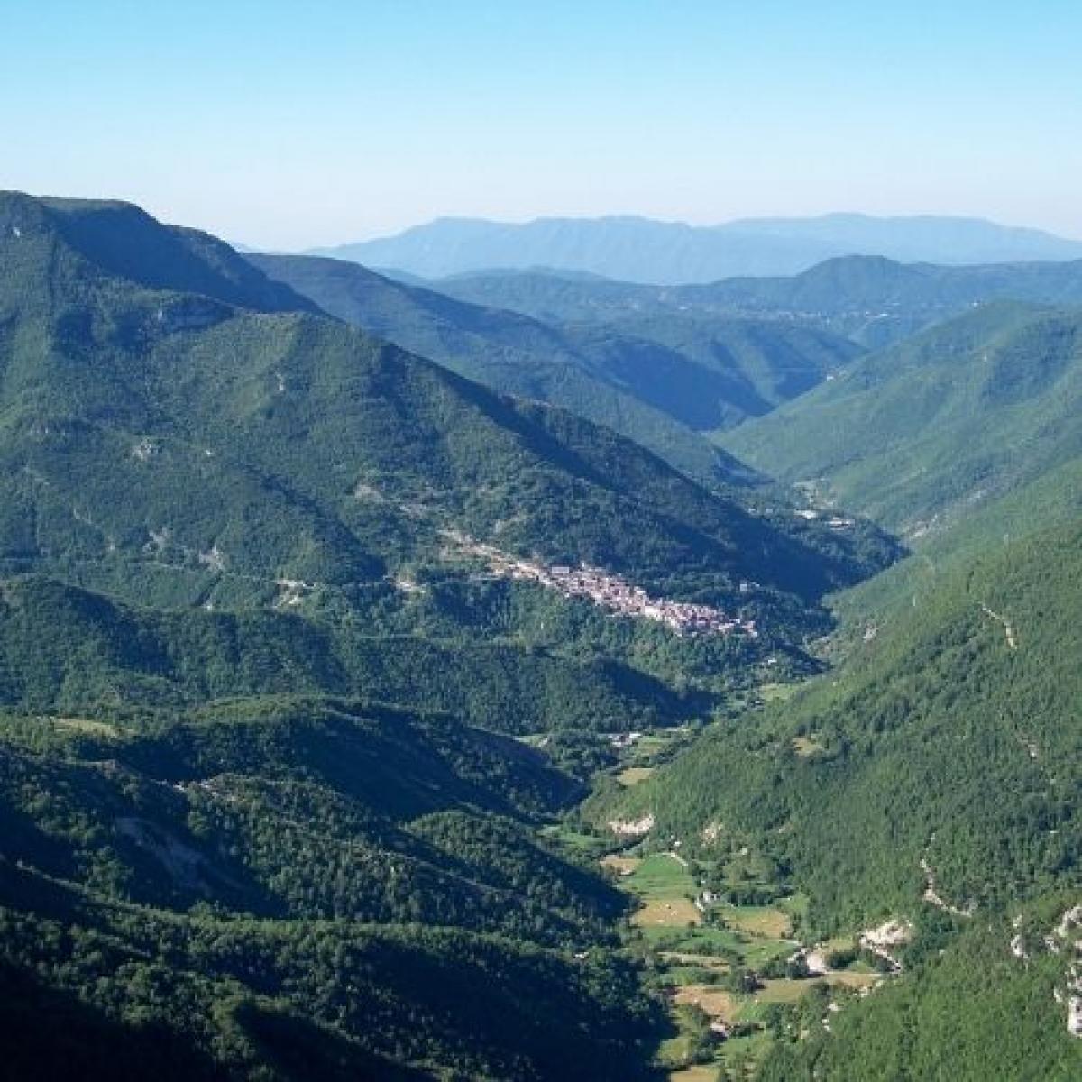 Vinca ambiente