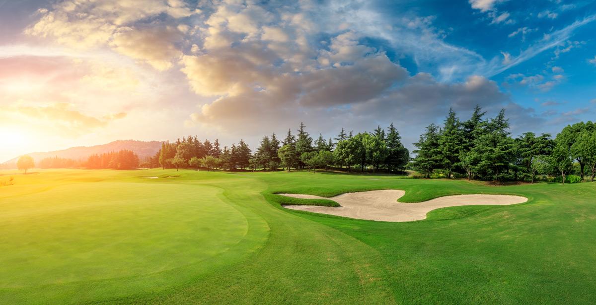 Green, bunker e alberi su un campo da golf - Foto di ABCDstock da Adobe Stock