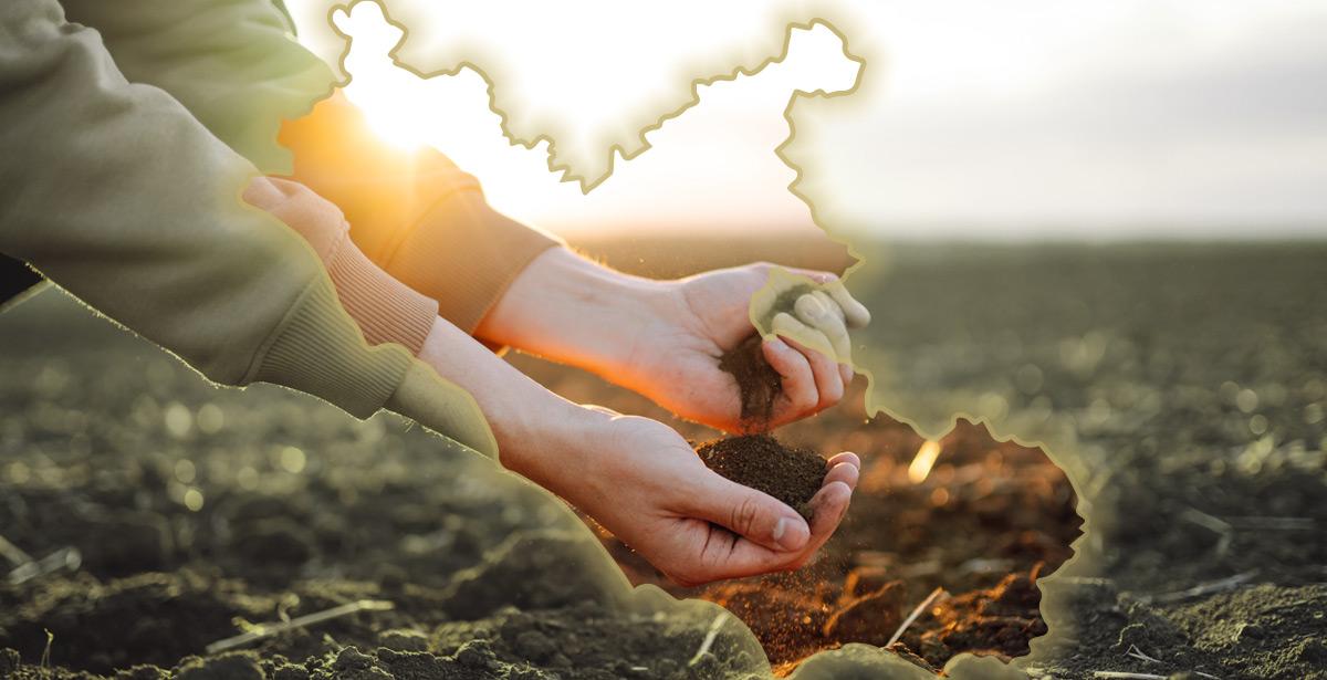 Mani nella terra all'alba - Foto di maxbelchenko da Adobe Stock