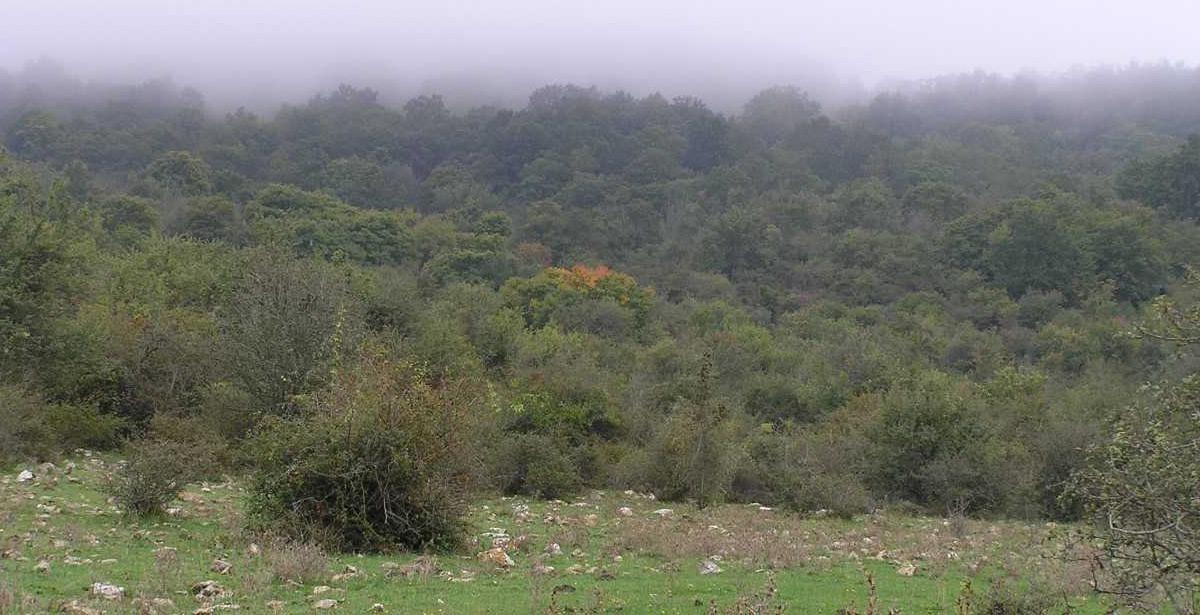 Monumento Naturale “Bosco Faito”