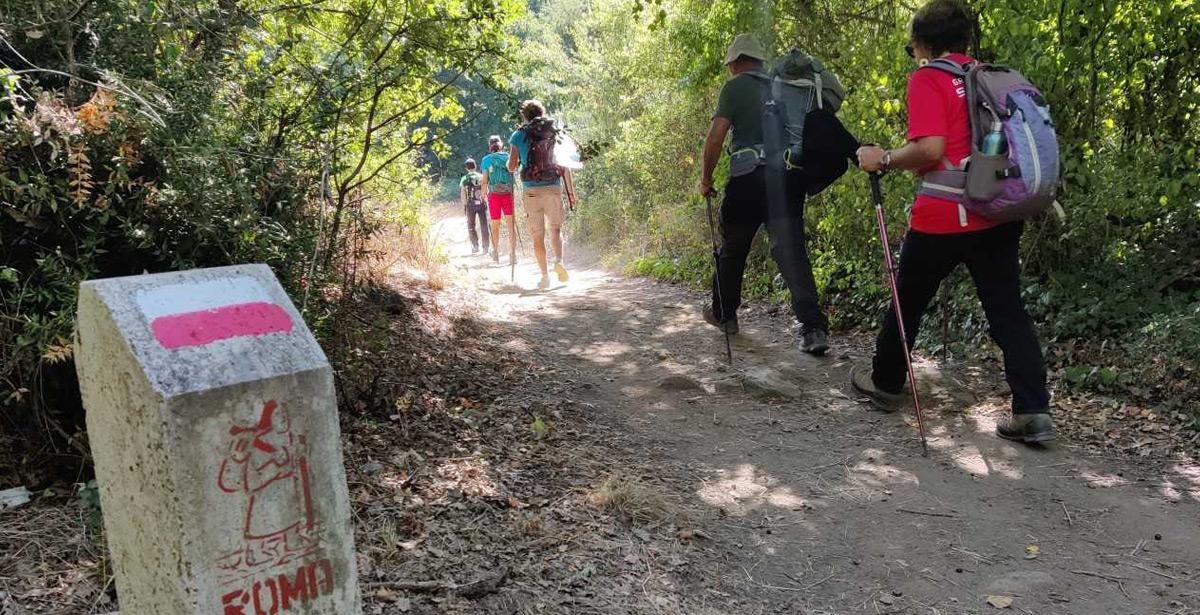 Persone impegnate in un percorso di trekking nei boschi