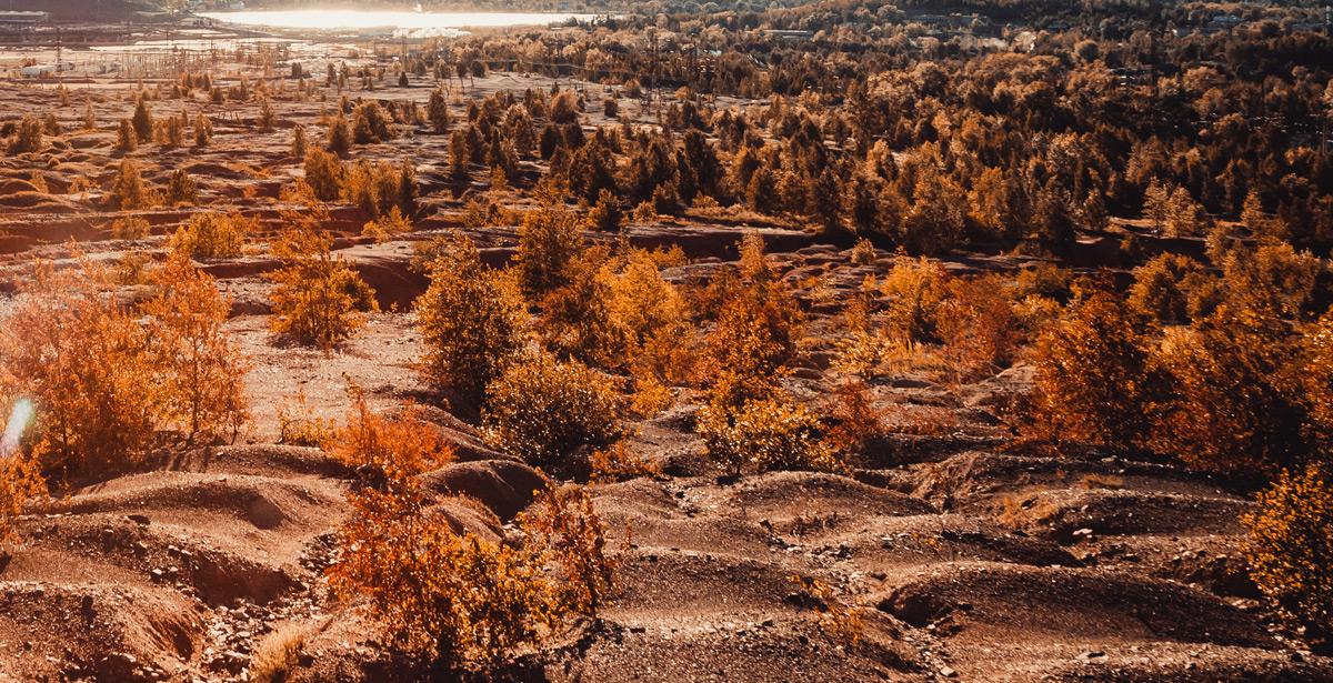 Terreno brullo con erbe bruciate - Foto di vladimircaribb da Adobe Stock