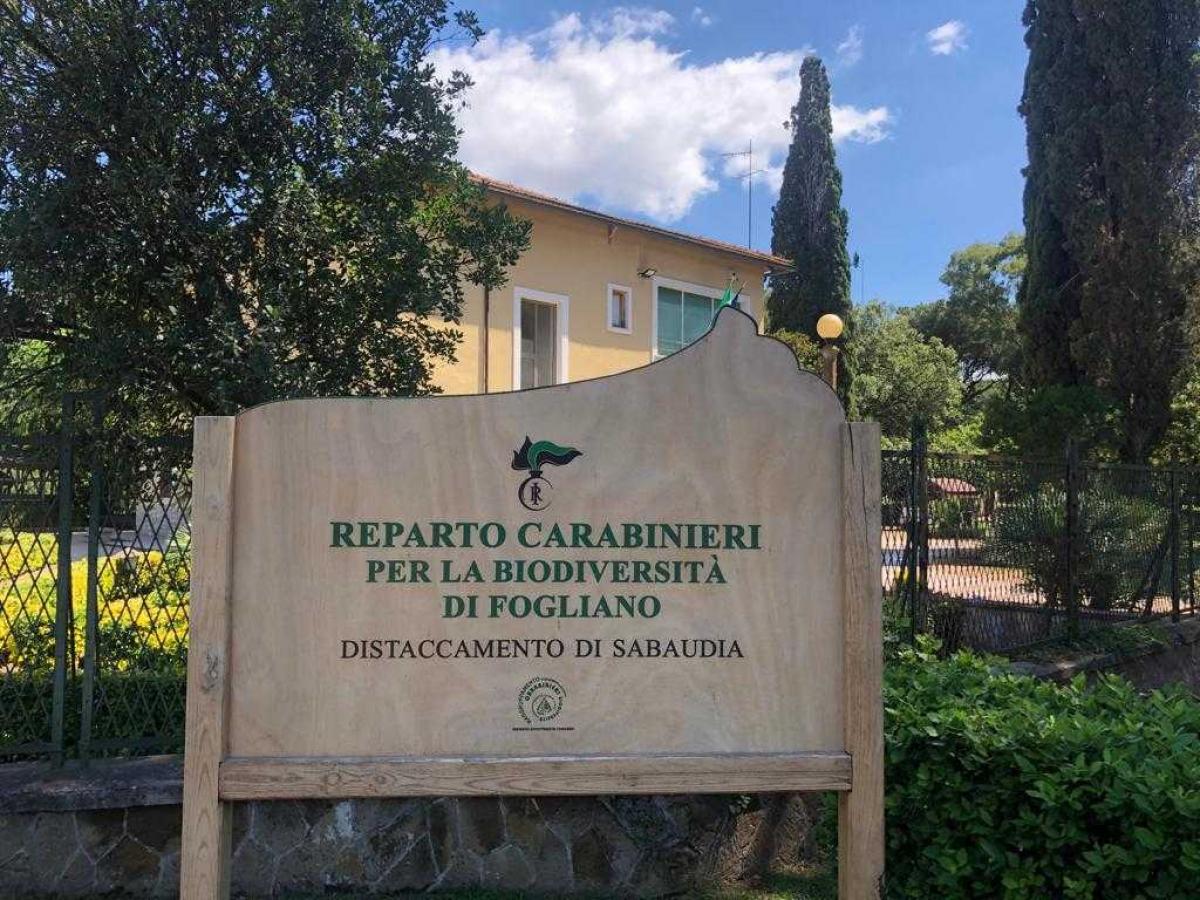 Fogliano - reparto Carabinieri biodiversità