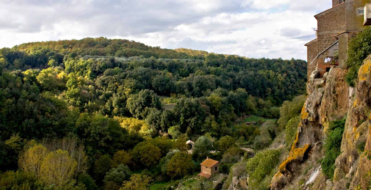 Vallata sotto Blera Viterbo - Foto di CorinaDanielaObertas da Adobe Stock
