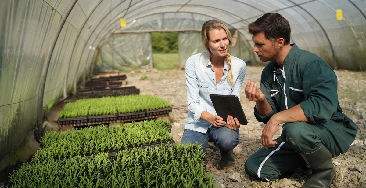 Consulente con agricoltore controllano i semi - Foto di goodluz da Adobe Stock