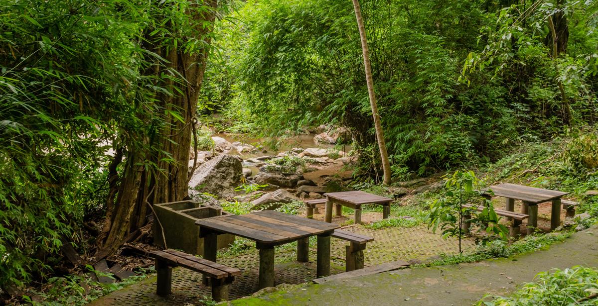 Area pic nic in mezzo al bosco - Foto di aminkorea da Adobe Stock