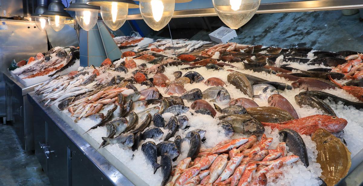 Banco del pesce - Foto di vikakurylo81 da Adobe Stock
