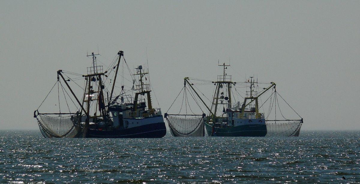 Barche pescatore Foto di günter da Pixabay 