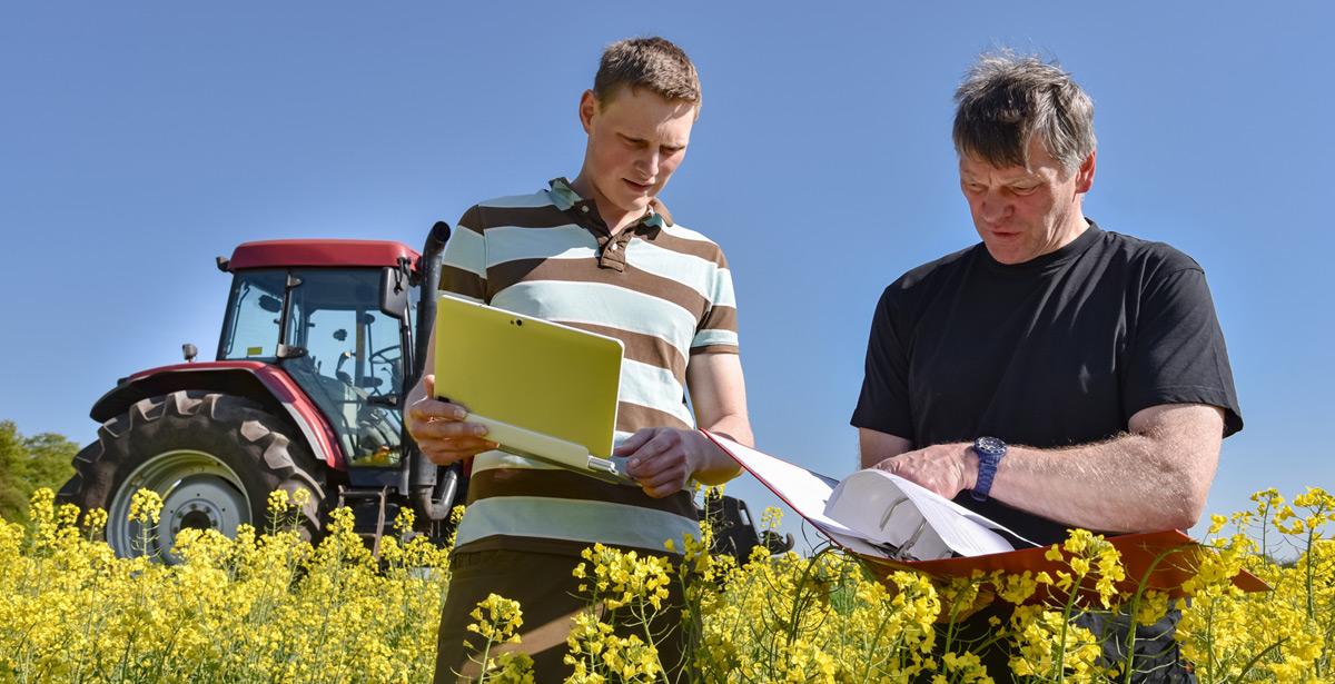 Agricoltore e consulente a colloquio in un campo di colza - Foto di Countrypixel da Adobe Stock
