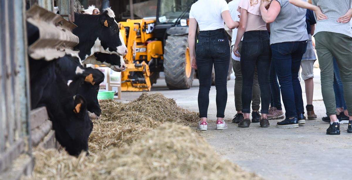 Alunni in visita ad una fattoria didattica - Foto di JeanLuc da Adobe Stock
