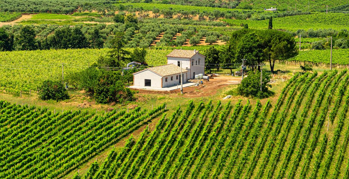 Paesaggio rurale vicino Velletri Roma - Foto di Claudio Colombo da Adobe Stock