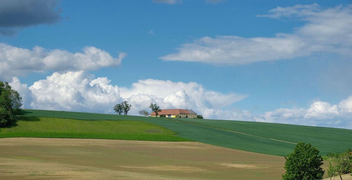 Nature - Foto di Karl Egger da Pixabay 