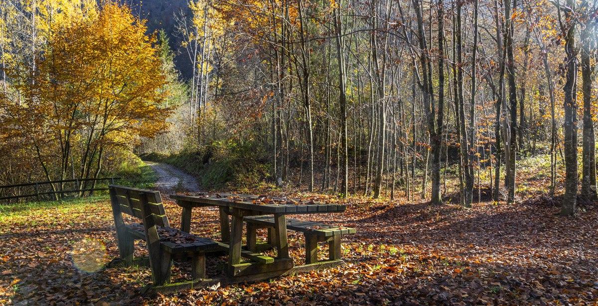 area ristoro in un bosco in autunno - foto di Nyky da adobe stock