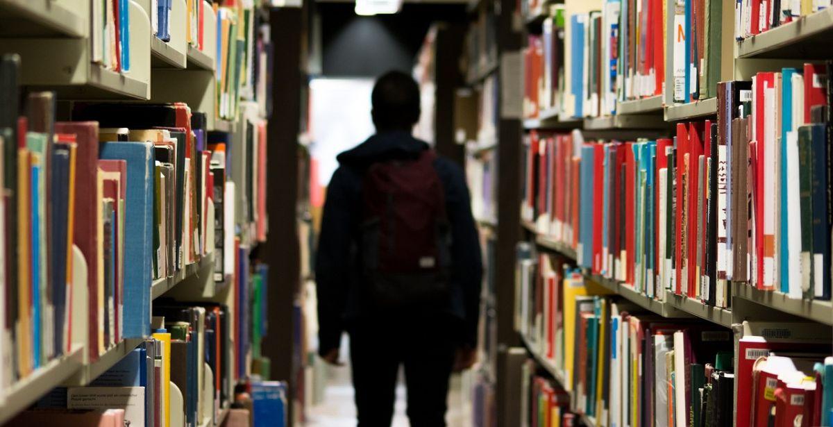 Libri - Foto di StockSnap da Pixabay