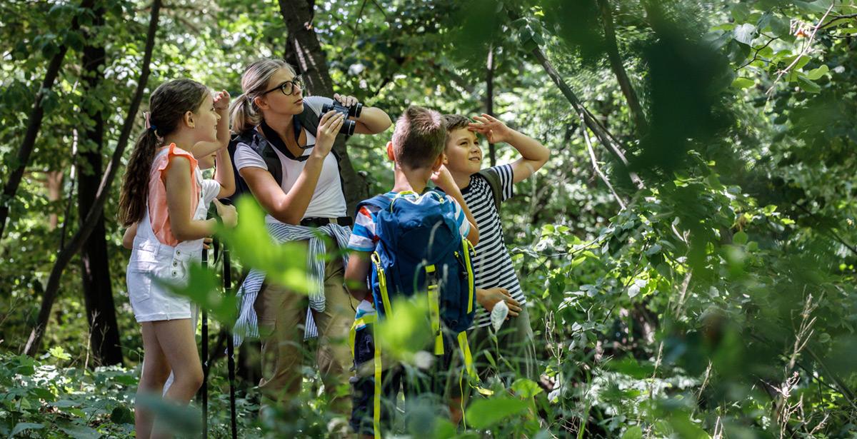 Bambini con la propria insegnante in mezzo al bosco - Foto di BalanceFormCreative da Adobe Stock