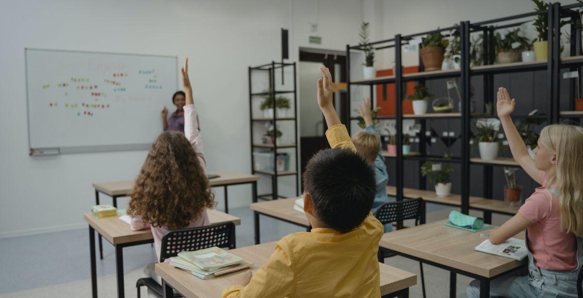 Alunni - Foto di Tima Miroshnichenko: https://www.pexels.com/it-it/foto/seduto-scuola-studenti-apprendimento-5428003/