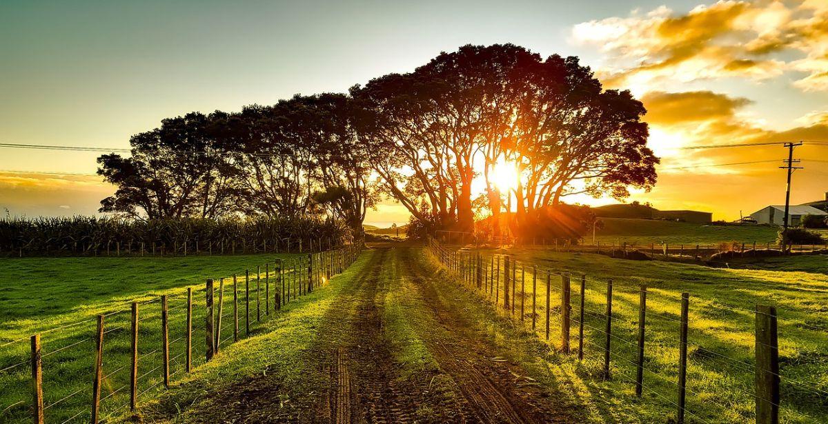 Campagna - Foto di <a href="https://pixabay.com/it/users/12019-12019/?utm_source=link-attribution&utm_medium=referral&utm_campaign=image&utm_content=1805939">David Mark</a> da <a href="https://pixabay.com/it//?utm_source=link-attribution&utm_medium=referral&utm_campaign=image&utm_content=1805939">Pixabay</a>