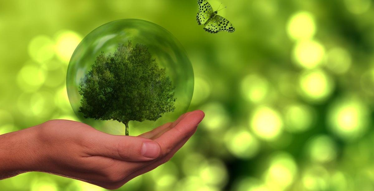 transizione ecologica