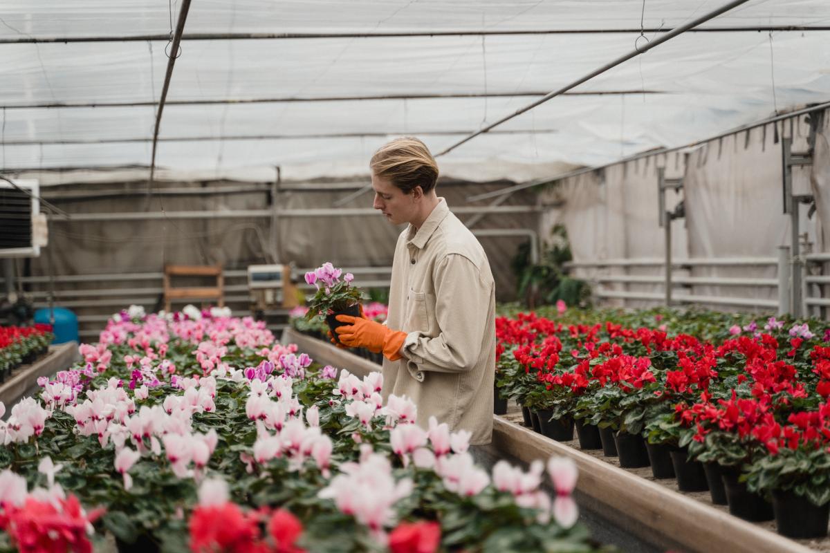 Serra fiori - Foto di Tima Miroshnichenko: https://www.pexels.com/it-it/foto/uomo-fiori-giardino-tenendo-6510853/