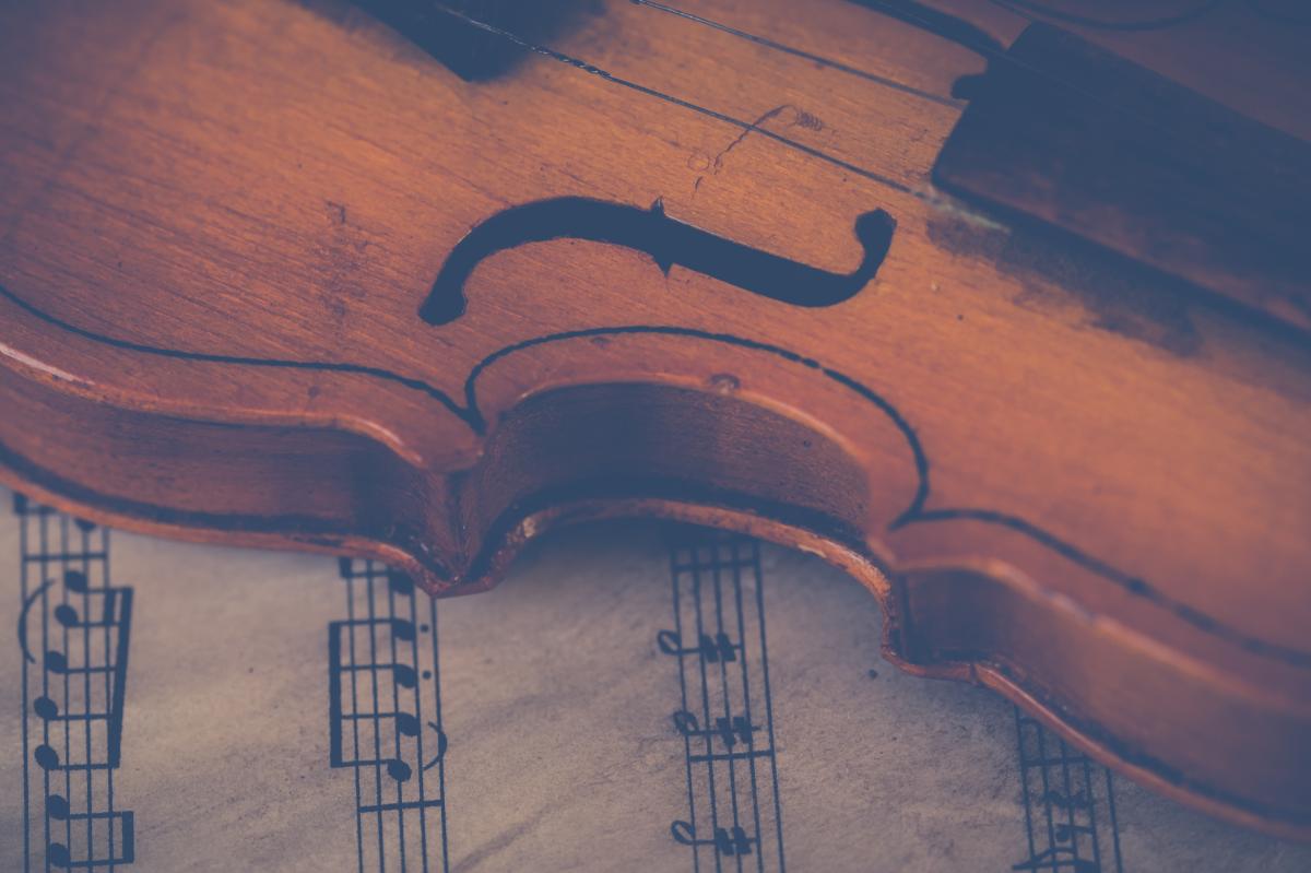 Violino - Foto di Ylanite Koppens: https://www.pexels.com/it-it/foto/violino-marrone-697672/