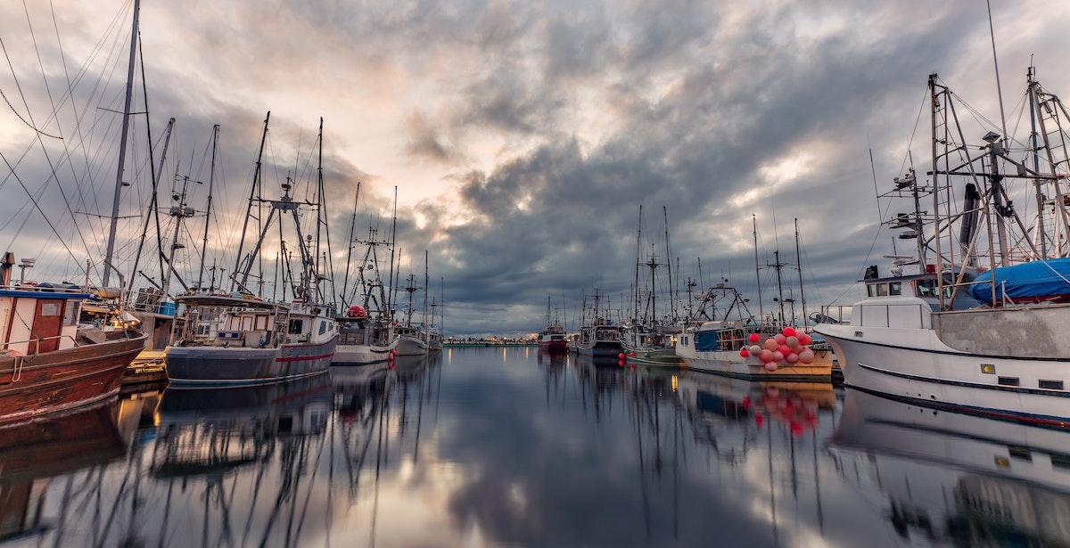 Porto pesca - Foto di James Wheeler: https://www.pexels.com/it-it/foto/barche-a-vela-parcheggiate-sul-corpo-d-acqua-3989845/