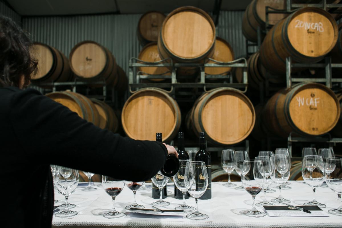 Cantina degustazione vino - Foto di Rachel Claire: https://www.pexels.com/it-it/foto/persona-alcol-settore-bevanda-5490196/