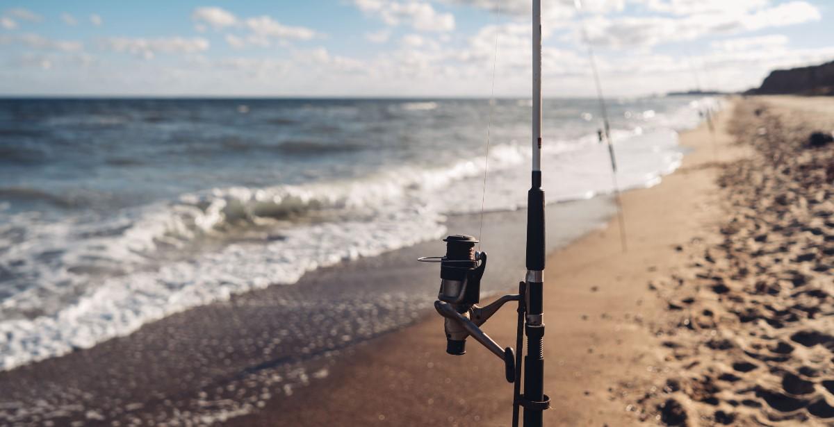 Pesca Lazio