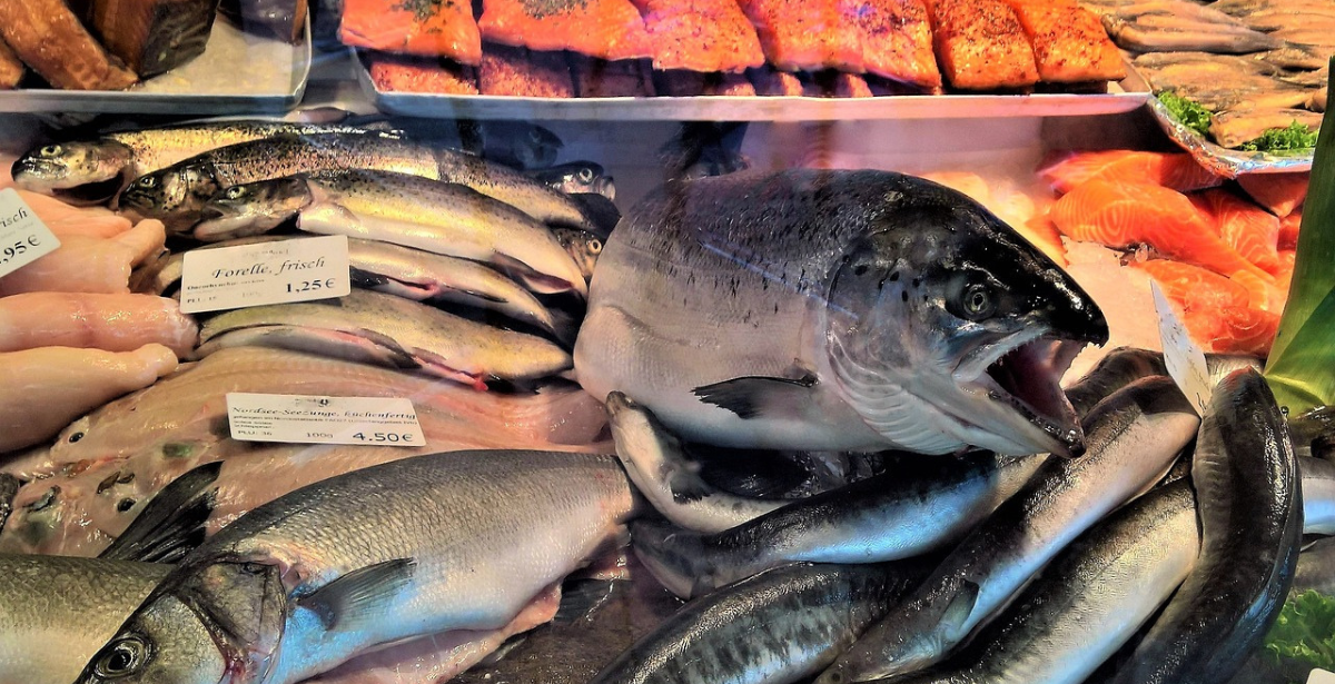 pesce