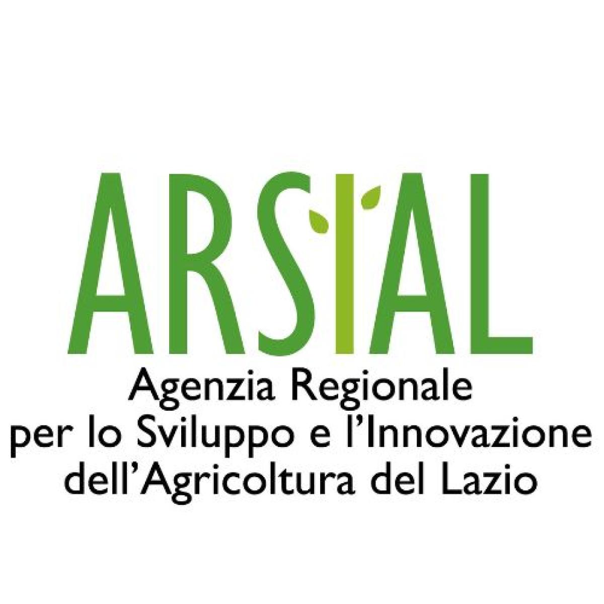 Banner Logo Arsial