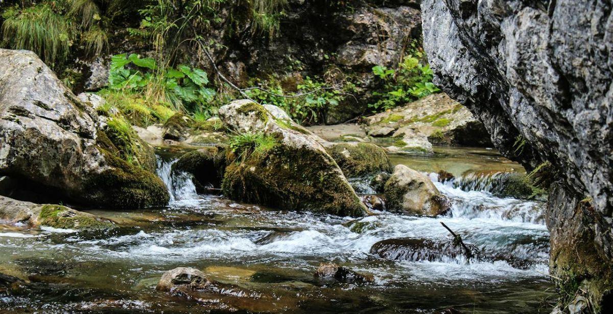 Ruscello - Foto di Creative Vix: https://www.pexels.com/it-it/foto/pietre-e-alberi-accanto-al-fiume-che-scorre-9758/