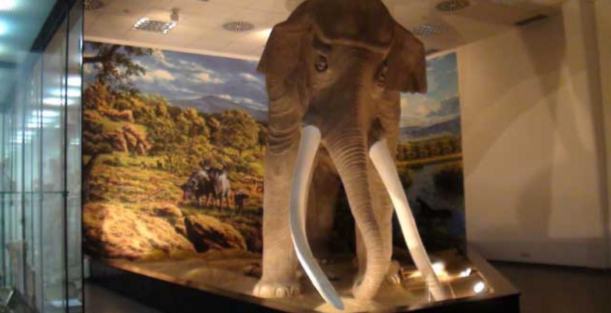 colleferro-museo