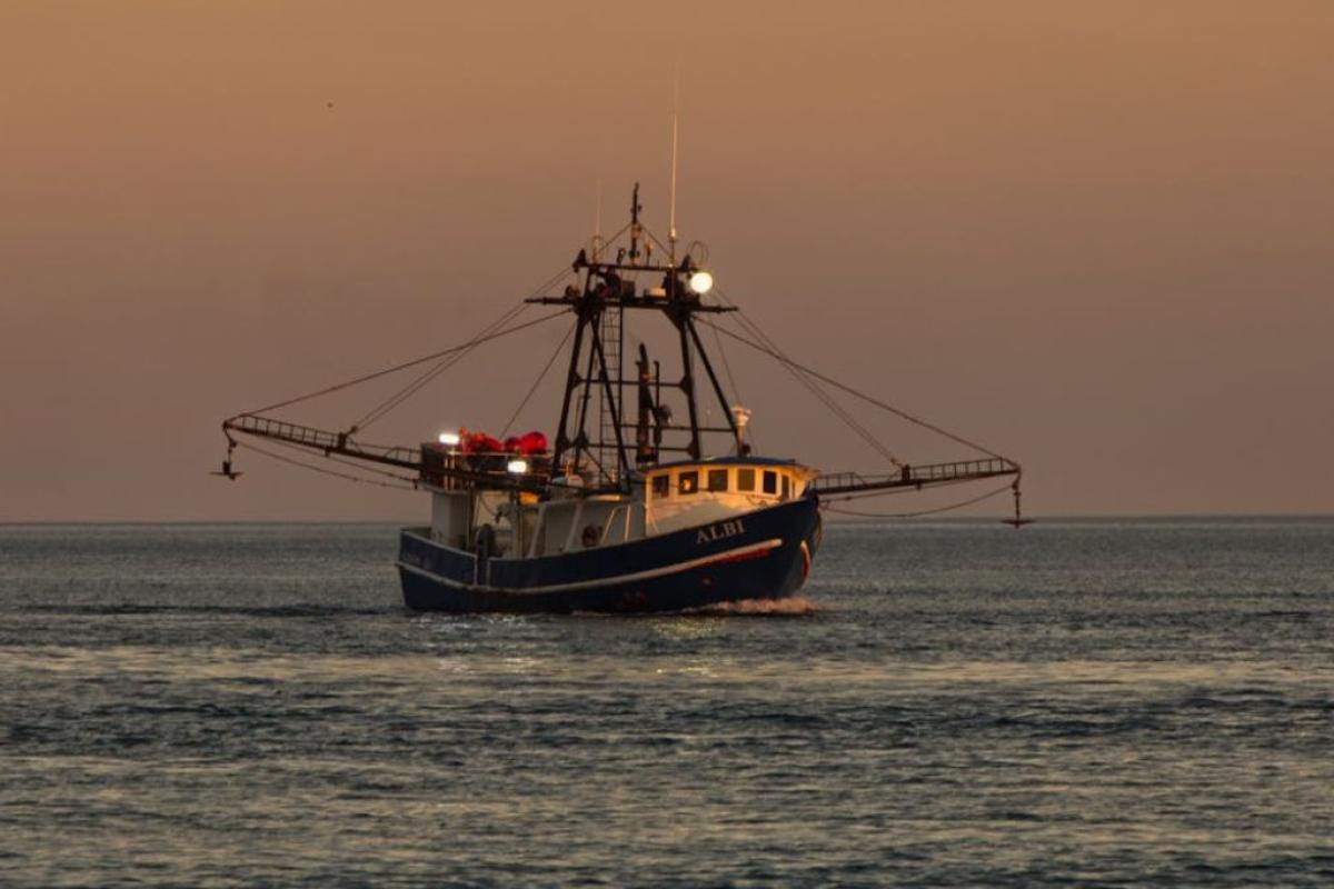 Barca pesca - Foto di John Biondo: https://www.pexels.com/it-it/foto/mare-alba-tramonto-acqua-6823967/