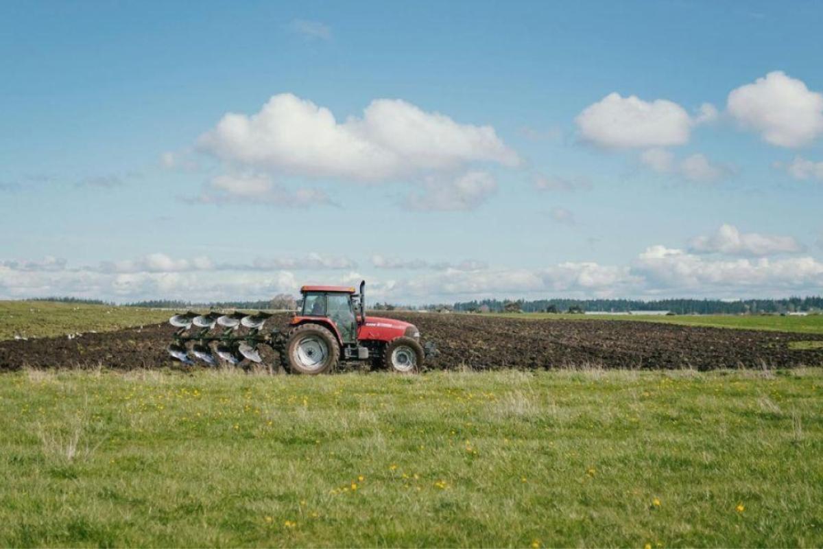 agricoltura-campo