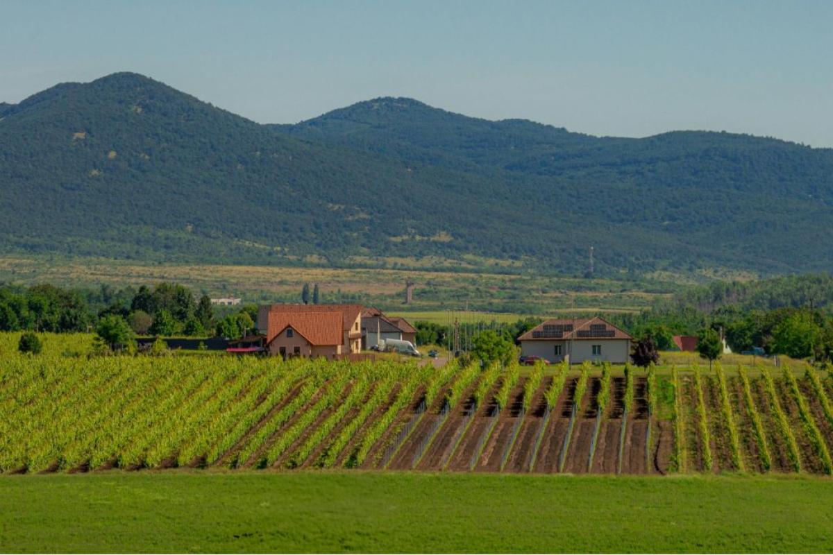 Casa campagna - Foto di Péter Borkó: https://www.pexels.com/it-it/foto/paesaggio-case-villaggio-edifici-27054267/