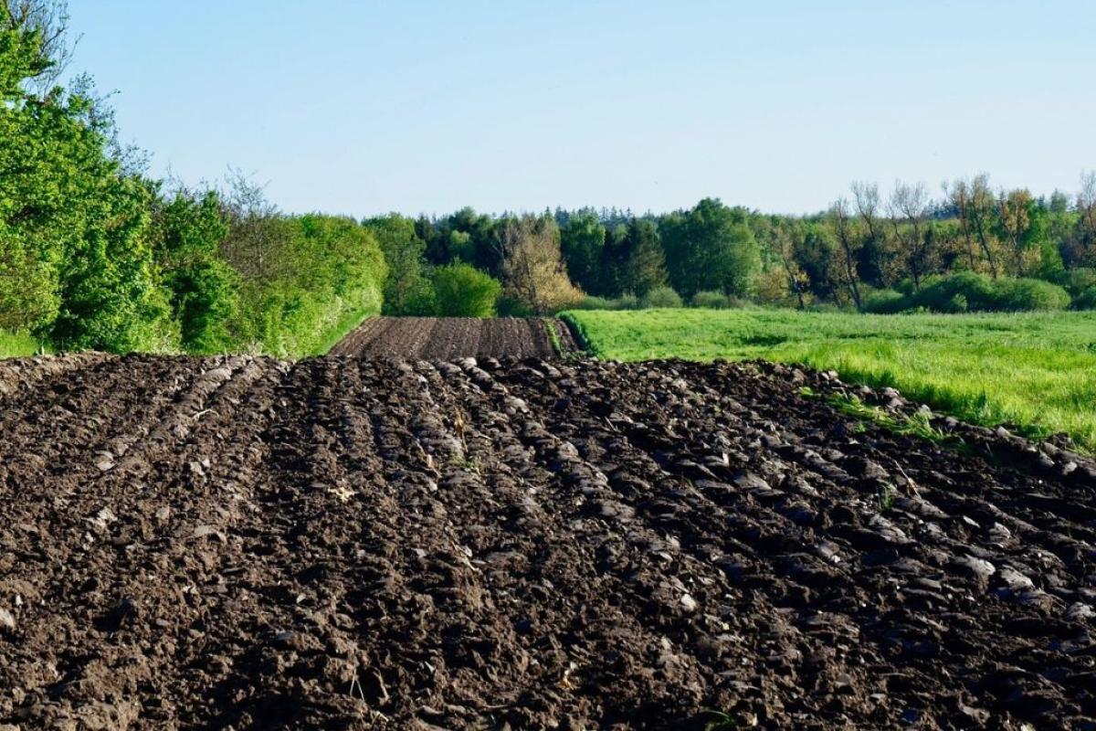Campo arato e bosco - Foto di <a href="https://pixabay.com/it/users/fritz_the_cat-2101387/?utm_source=link-attribution&utm_medium=referral&utm_campaign=image&utm_content=3442666">Jens</a> da <a href="https://pixabay.com/it//?utm_source=link-attribution&utm_medium=referral&utm_campaign=image&utm_content=3442666">Pixabay</a>