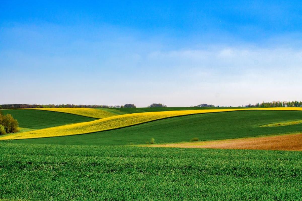Campi - Foto di Carl Wyatt: https://www.pexels.com/it-it/foto/terreno-edificabile-2237485/