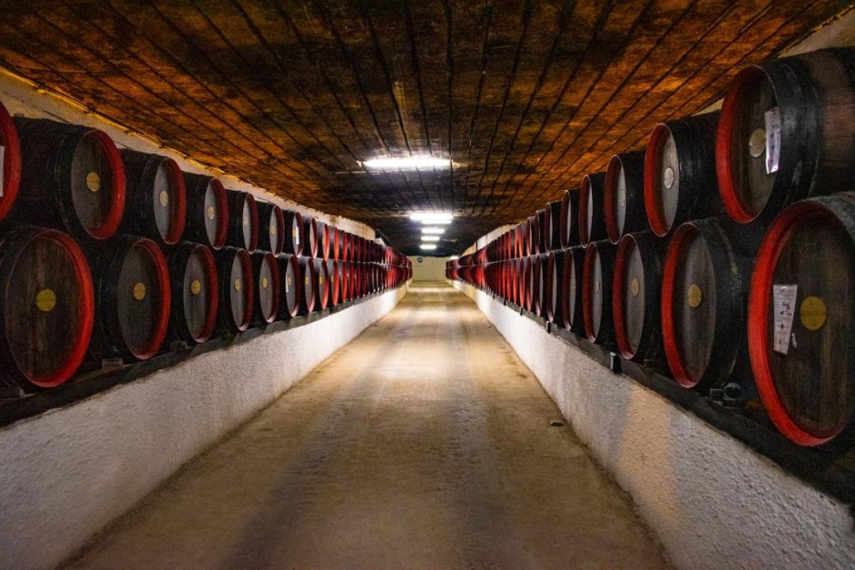 Cantina vino - Foto di Ion Ceban @ionelceban: https://www.pexels.com/it-it/foto/lotto-di-botte-nera-in-una-fotografia-di-primo-piano-della-camera-2581022/