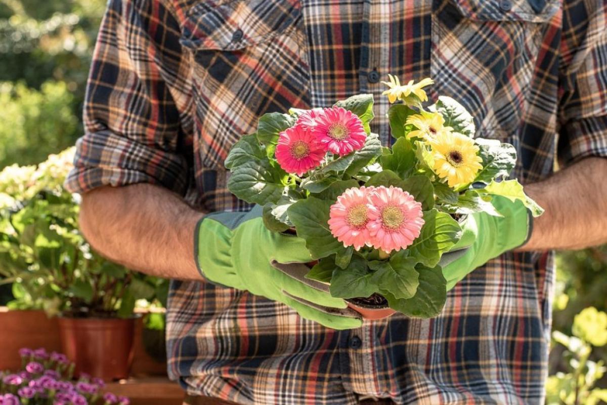 Fiori - Foto di <a href="https://pixabay.com/it/users/miller_eszter-5317196/?utm_source=link-attribution&utm_medium=referral&utm_campaign=image&utm_content=4186301">Eszter Miller</a> da <a href="https://pixabay.com/it//?utm_source=link-attribution&utm_medium=referral&utm_campaign=image&utm_content=4186301">Pixabay</a>
