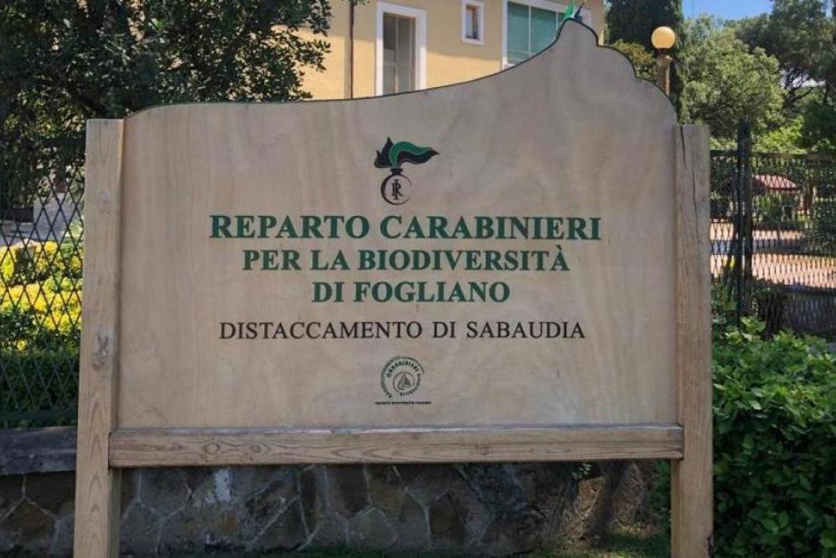 Fogliano 